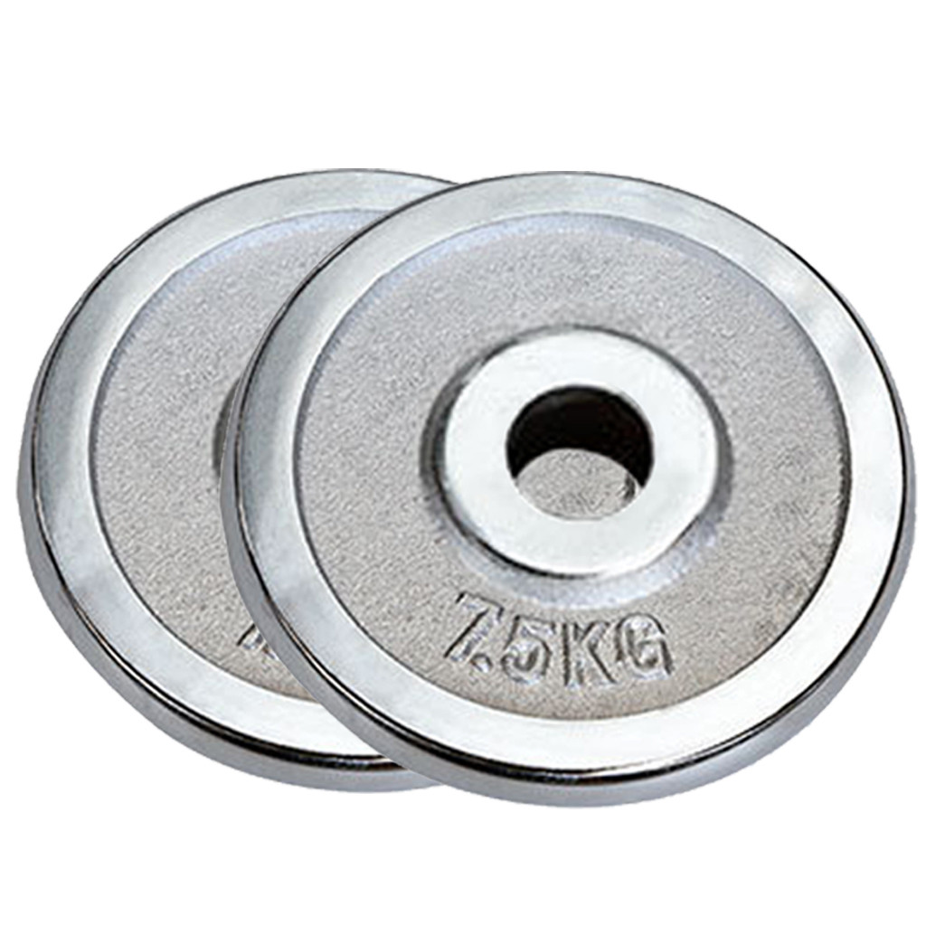 Tking Fashion Standard Cast Iron Weight Plate Set 1-Inch Center Hole for Adjustable Dumbbell, Standard Barbell - Set (1 Pair Total 33LB)