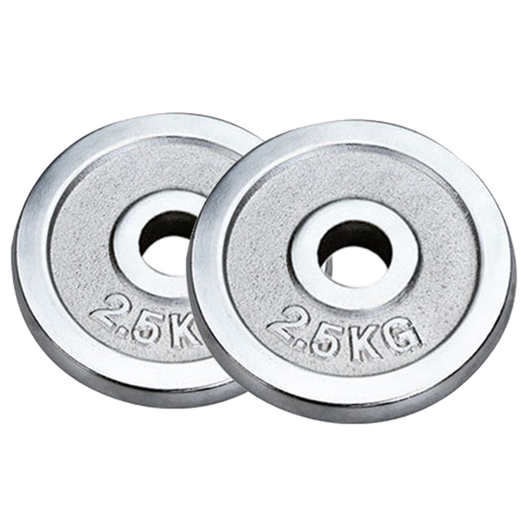 Tking Fashion Standard Cast Iron Weight Plate Set 1-Inch Center Hole for Adjustable Dumbbell, Standard Barbell - Set (1 Pair Total 11LB)