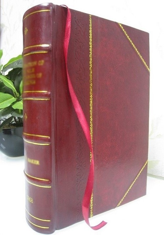 Views of Birmingham, the Iron Center of the World 1908 [Leather Bound]