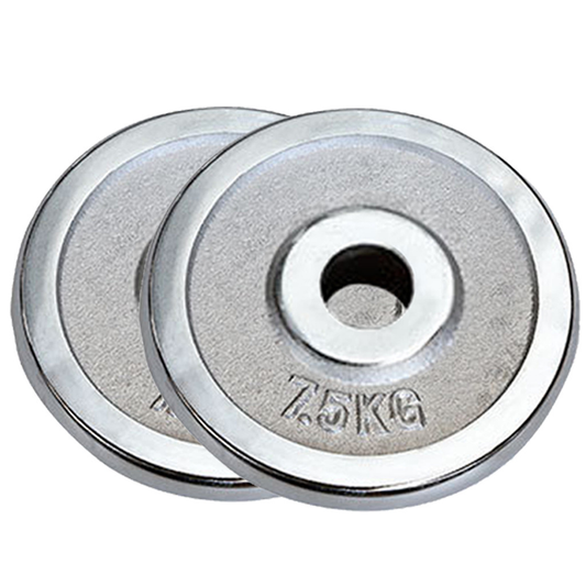 Tking Fashion Standard Cast Iron Weight Plate Set 1-Inch Center Hole for Adjustable Dumbbell, Standard Barbell - Set (1 Pair Total 33LB)