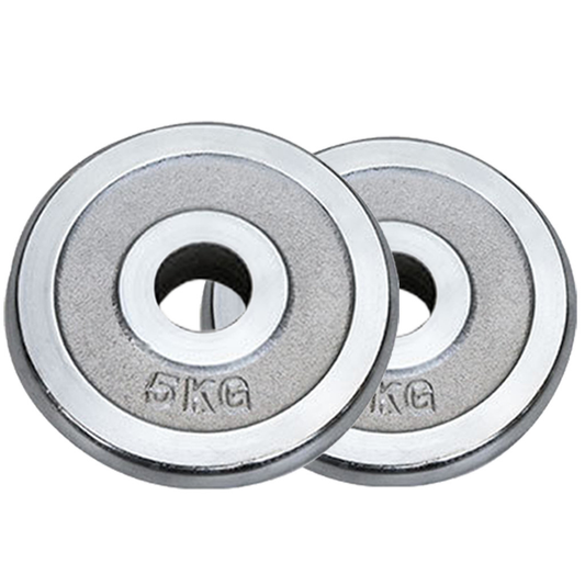 Tking Fashion Standard Cast Iron Weight Plate Set 1-Inch Center Hole for Adjustable Dumbbell, Standard Barbell - Set (1 Pair Total 22LB)