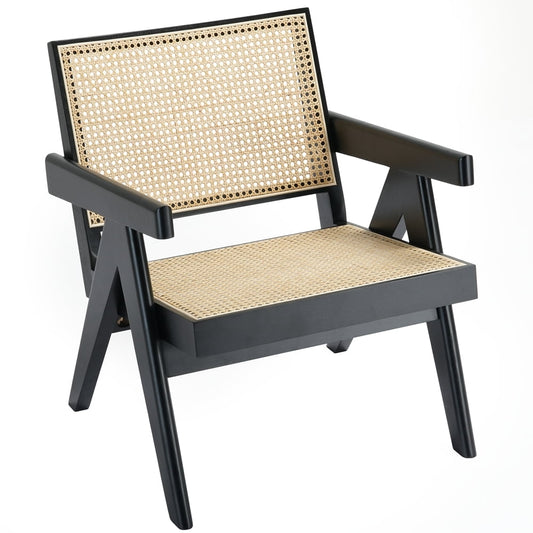 Cottinch Patio Rattan Chair, Modern Accent Armchair, Reading Chair for Living Room,Black Walnut,1-Piece