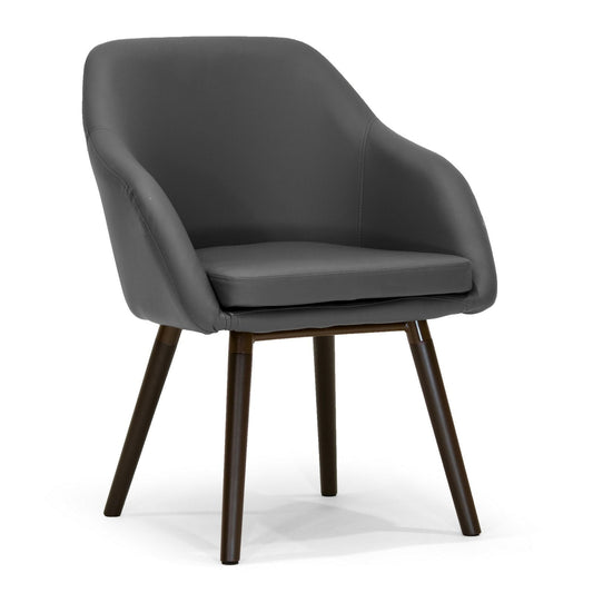 Glamour Home Adaya 18.5' Faux Leather Arm Chair in Gray (Set of 2)